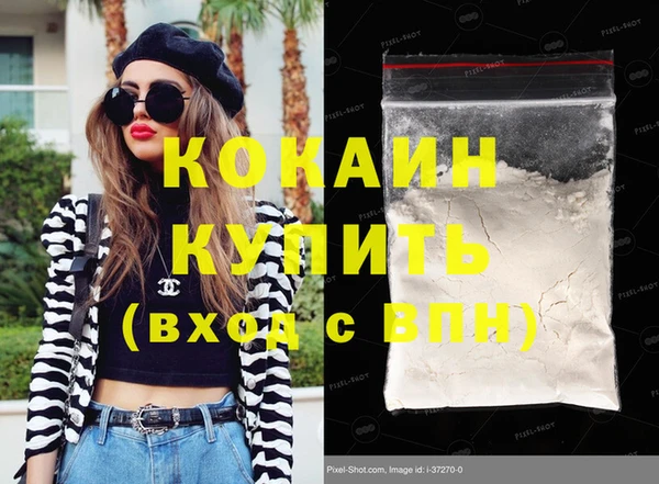 шишки Белокуриха