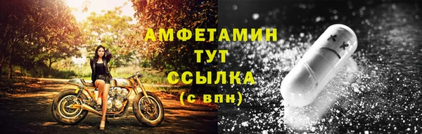 шишки Белокуриха